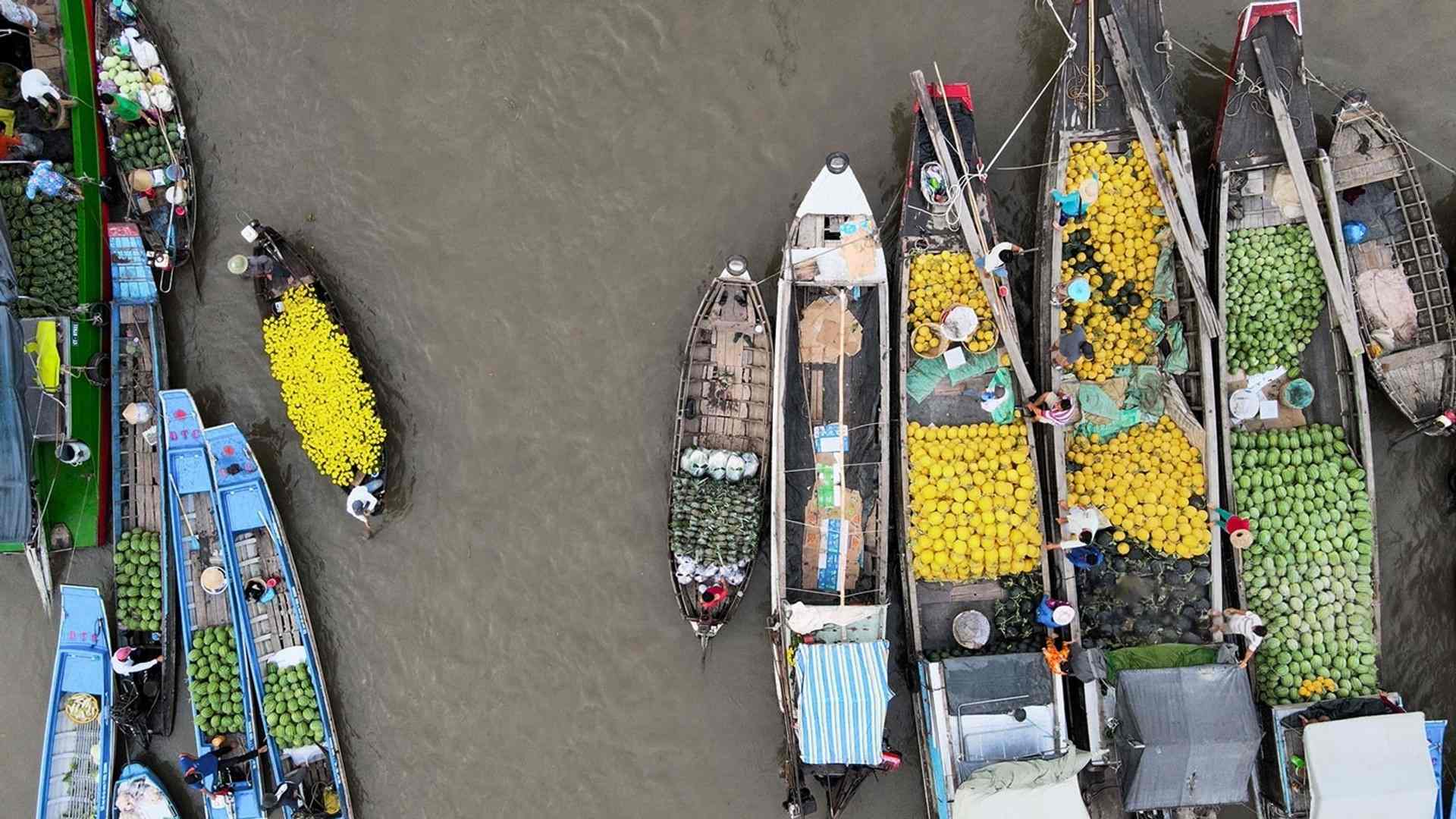 Cai Rang Floating Market veitnam