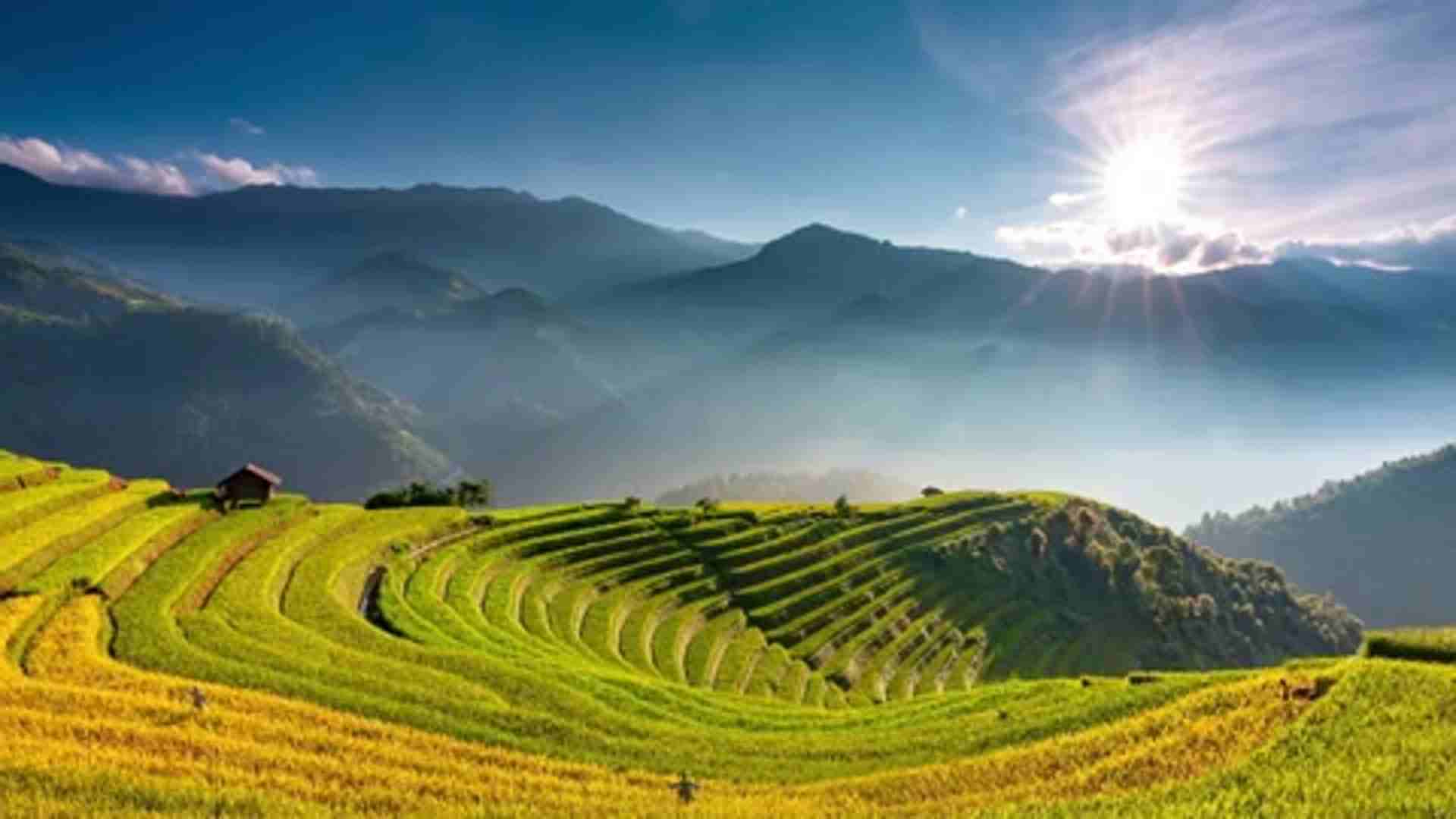 Sapa vitnam